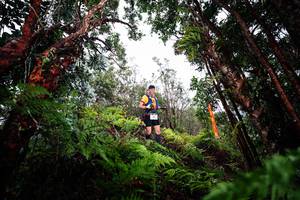 BIB: 
                            <button type="button" onclick="openModal(26202723)" class="btn btn-primary btn-sm float-right btn-popup" data-toggle="modal" data-target=".modal-high-quality">
                        <i class="fas fa-shopping-cart"></i> Add to Cart
                    </button>
                                            <button type="button" onclick="isThisMe(26202723, true)" class="btn btn-success btn-sm float-right btn-popup btn-isme hidden" data-toggle="tooltip" data-placement="bottom" title="นี่คือรูปของคุณใช่ไหม คลิกที่นี่เพื่อเอาเข้าอัลบั้ม">
                        <i class="fas fa-plus"></i> Add to album
                    </button>
                    <button type="button" onclick="isThisMe(26202723, false)" class="btn btn-warning btn-sm float-right btn-popup btn-isnotme hidden">
                        <i class="fas fa-ban"></i> Remove from album
                    </button>